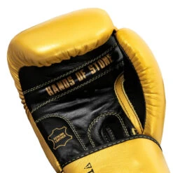 TITLE Boxing Roberto Duran Leather Training Gloves -TITLE Boxing Shop rdtg gd bk 05