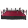 TITLE Boxing Professional Training Ring