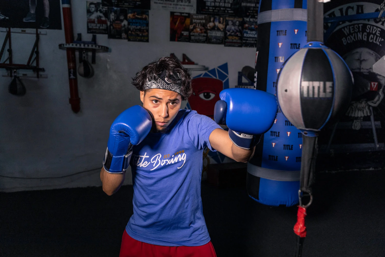 TITLE Boxing Royalty Leather Bag Gloves 7 TITLE Boxing Royalty Leather Bag Gloves - Image 7