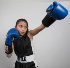 TITLE Boxing Aerovent Elite Amateur Set - Original -TITLE Boxing Shop tabs 1