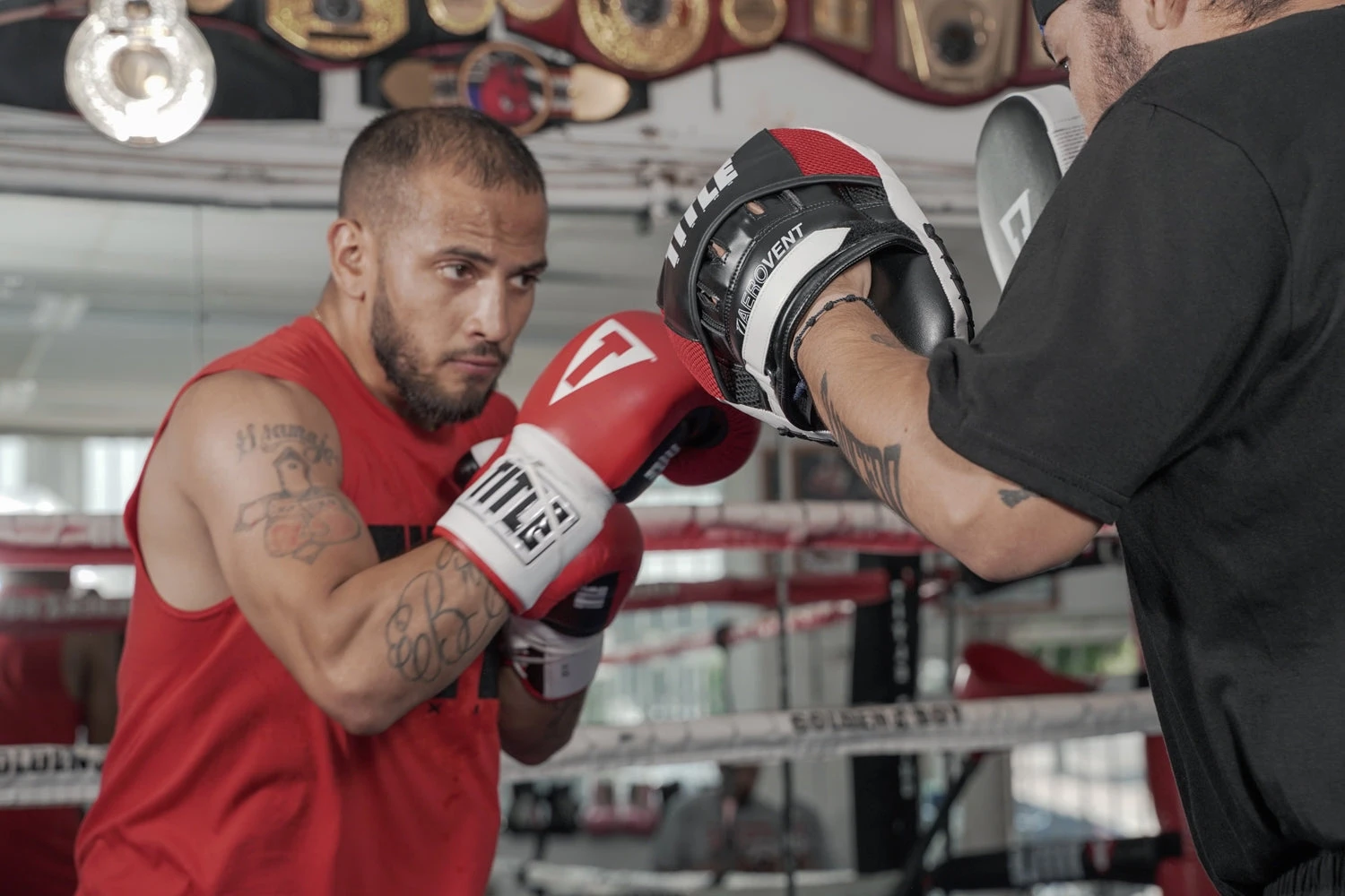 TITLE Boxing Aerovent Excel Incredi-Mitts 2.0 9 TITLE Boxing Aerovent Excel Incredi-Mitts 2.0 - Image 9