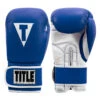 TITLE Boxing Pro Style Leather Training Boxing Gloves 3.0