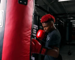 TITLE Boxing Synthetic Leather Heavy Bag (Unfilled) -TITLE Boxing Shop uftshb bk rd 2