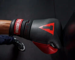 TITLE Boxing Z-FLY Bag Gloves 22 TITLE Boxing Z-FLY Bag Gloves -TITLE Boxing Shop zflybg bk rd 6 1